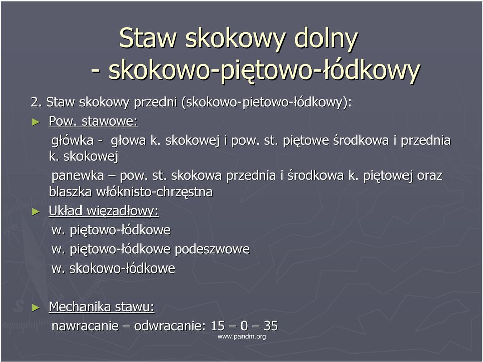 piętowej oraz blaszka włóknistow knisto-chrzęstna Układ więzad zadłowy: w. piętowo towo-łódkowe w.