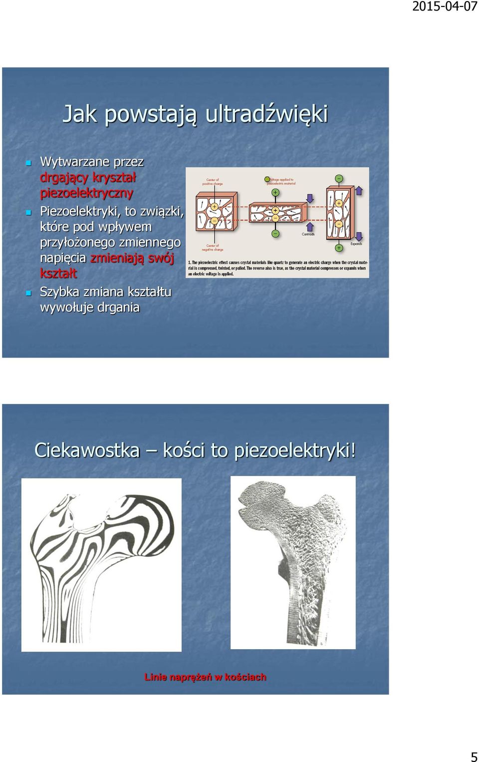 przyłożonego zmiennego napięcia zmieniają swój kształt Szybka zmiana