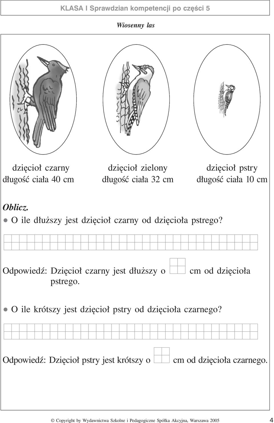 Odpowiedź: Dzięcioł czarny jest dłuższy o pstrego.