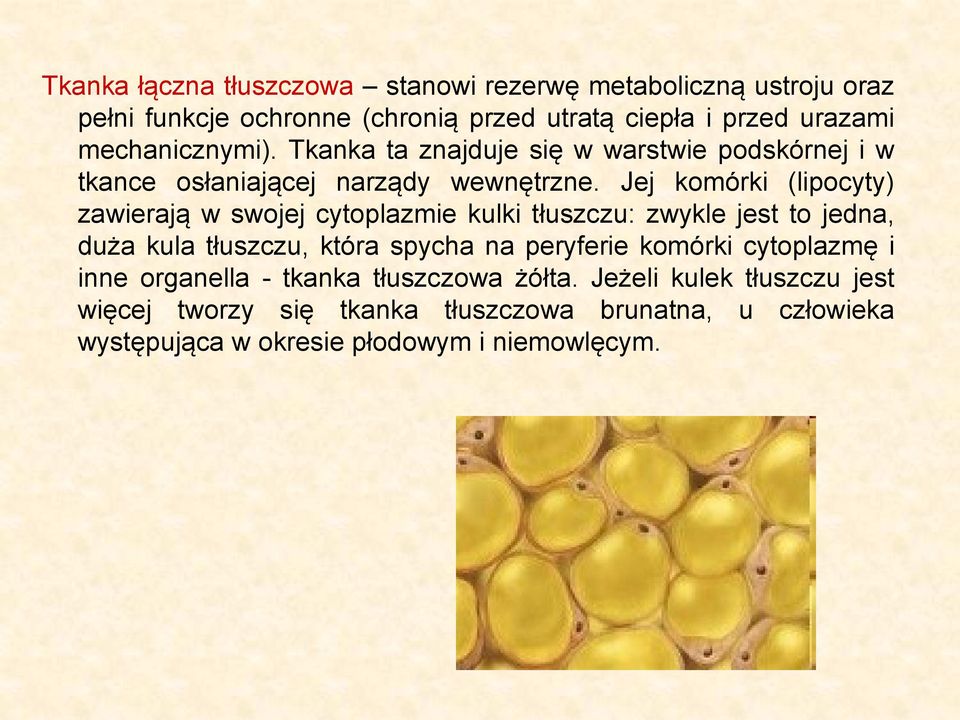 Jej komórki (lipocyty) zawierają w swojej cytoplazmie kulki tłuszczu: zwykle jest to jedna, duża kula tłuszczu, która spycha na peryferie