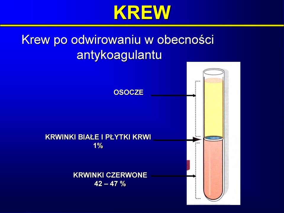 OSOCZE KRWINKI BIAŁE I