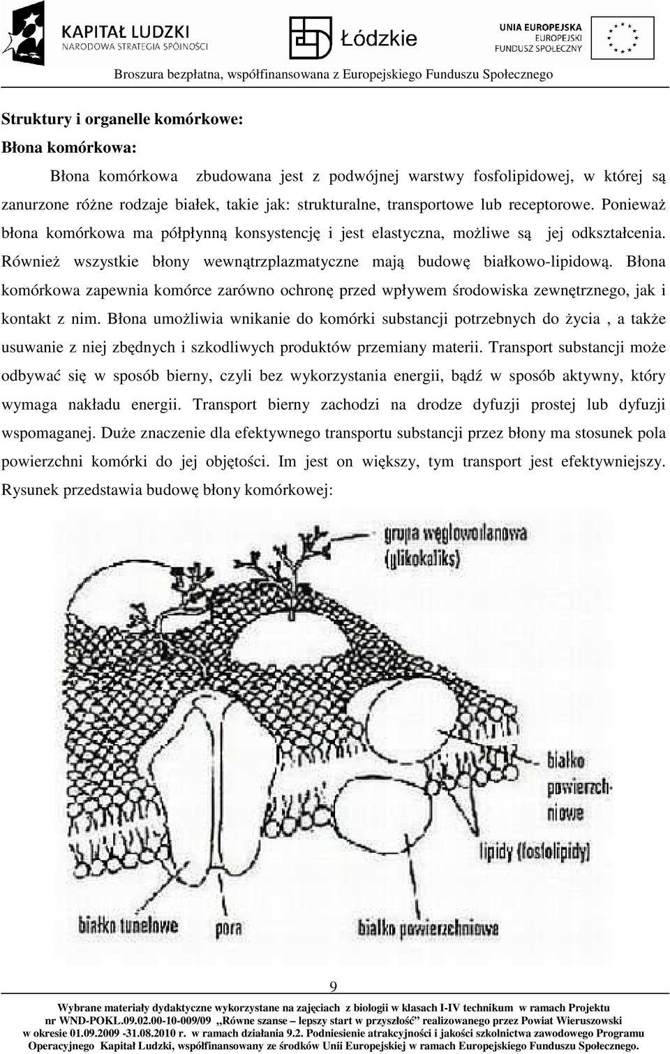 Błona komórkowa zapewnia komórce zarówno ochronę przed wpływem środowiska zewnętrznego, jak i kontakt z nim.