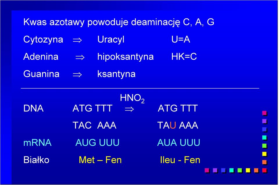 Guanina ksantyna HNO 2 DNA ATG TTT ATG TTT TAC