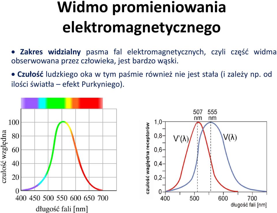 człowieka, jest bardzo wąski.