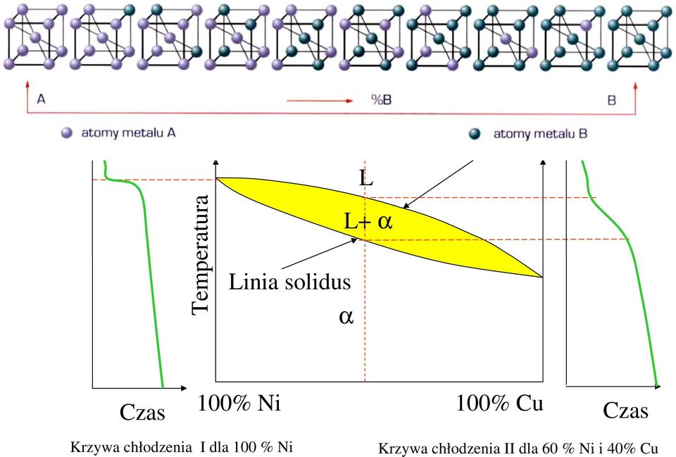 Linia solidus L+ α α Czas 100% Ni 100% Cu Czas Krzywa