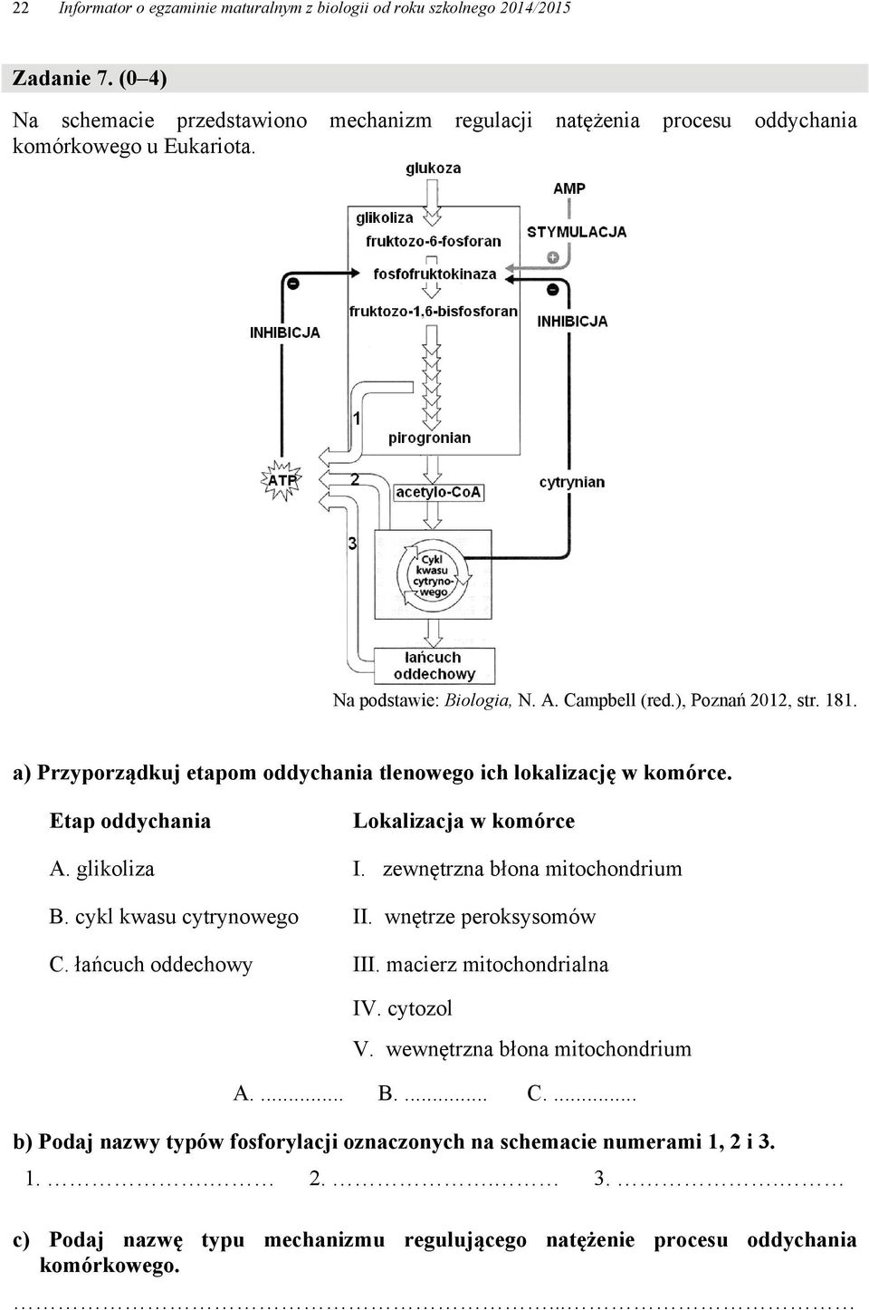 a) Przyporządkuj etapom oddychania tlenowego ich lokalizację w komórce. Etap oddychania Lokalizacja w komórce A. glikoliza I. zewnętrzna błona mitochondrium B. cykl kwasu cytrynowego II.