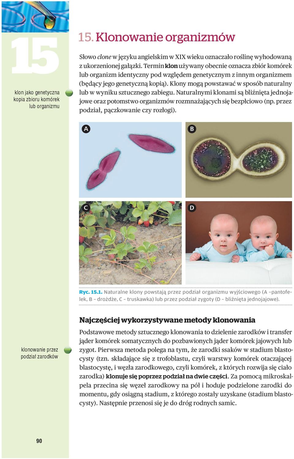 Klony mogą powstawać w sposób naturalny lub w wyniku sztucznego zabiegu. Naturalnymi klonami są bliźnięta jednojajowe oraz potomstwo organizmów rozmnażających się bezpłciowo (np.