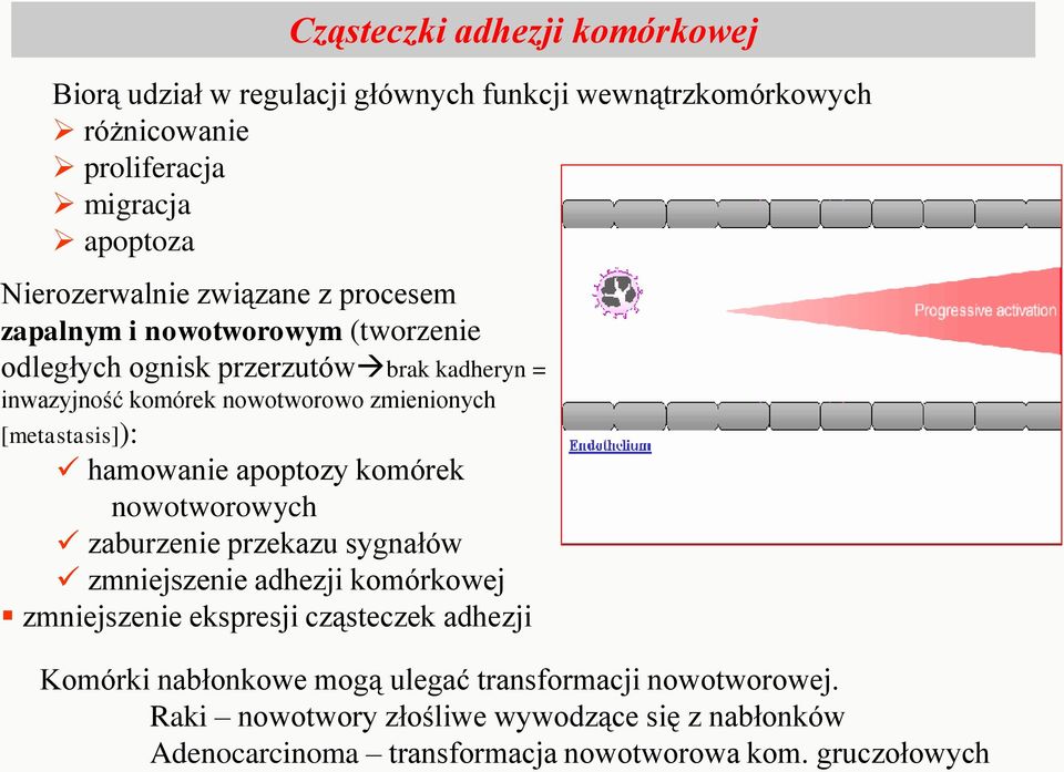 [metastasis]): hamowanie apoptozy komórek nowotworowych zaburzenie przekazu sygnałów zmniejszenie adhezji komórkowej zmniejszenie ekspresji cząsteczek