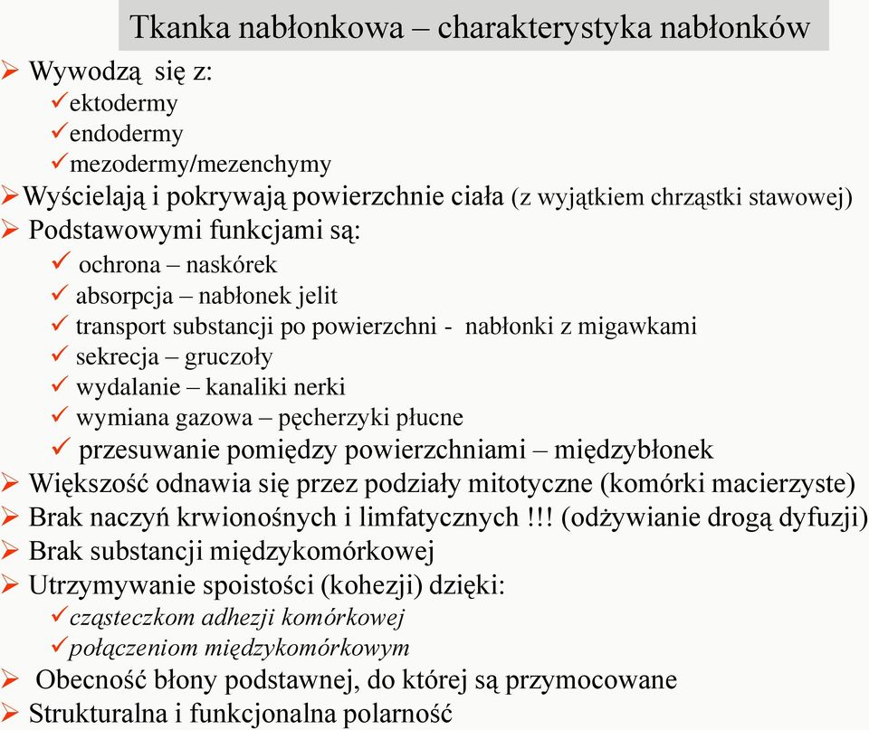 pomiędzy powierzchniami międzybłonek Większość odnawia się przez podziały mitotyczne (komórki macierzyste) Brak naczyń krwionośnych i limfatycznych!