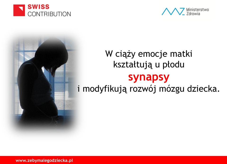 synapsy i modyfikują