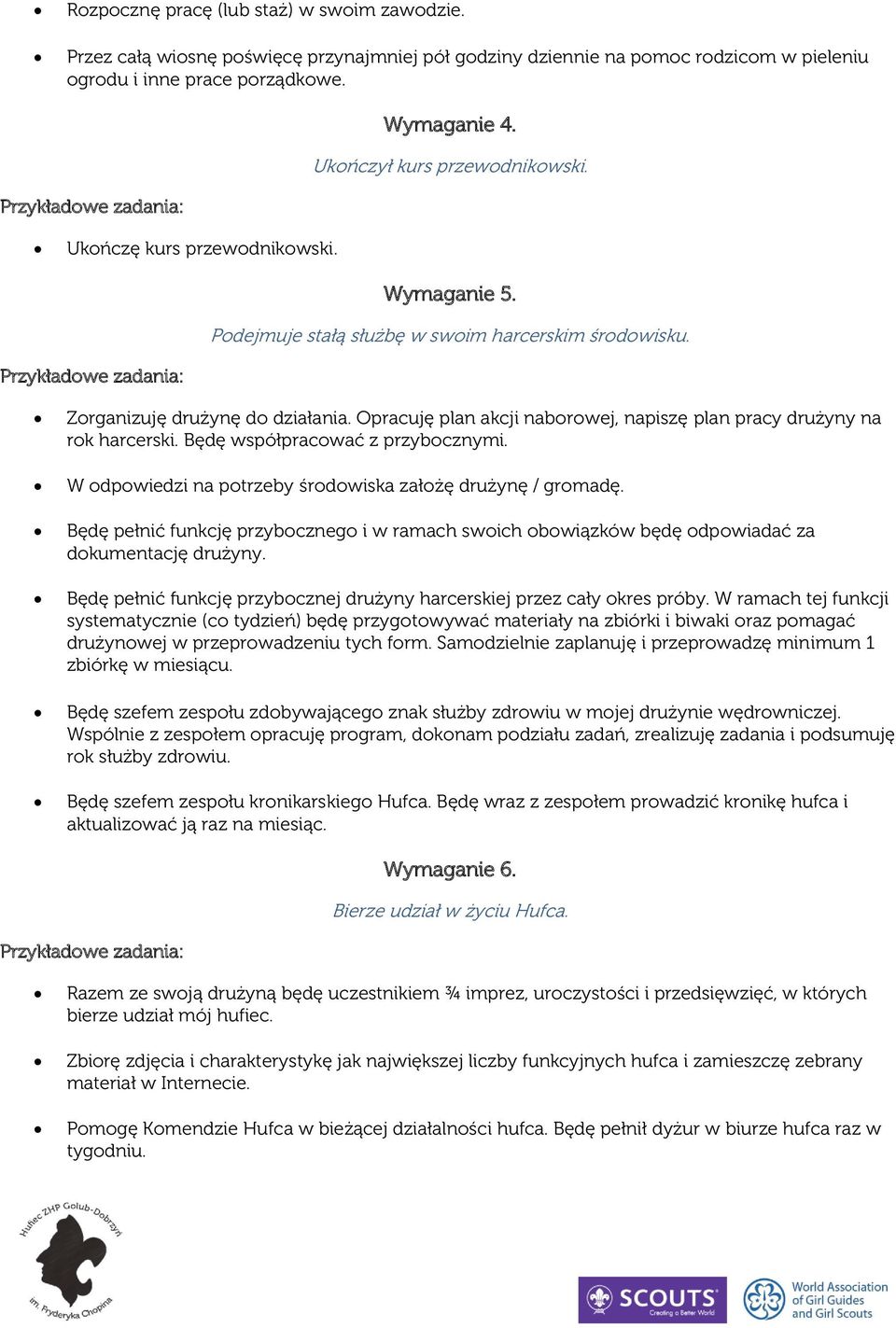 Opracuję plan akcji naborowej, napiszę plan pracy drużyny na rok harcerski. Będę współpracować z przybocznymi. W odpowiedzi na potrzeby środowiska założę drużynę / gromadę.