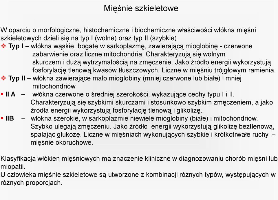 Jako źródło energii wykorzystują fosforylację tlenową kwasów tłuszczowych. Liczne w mięśniu trójgłowym ramienia.