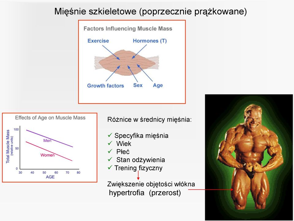 Wiek Płeć Stan odżywienia Trening fizyczny