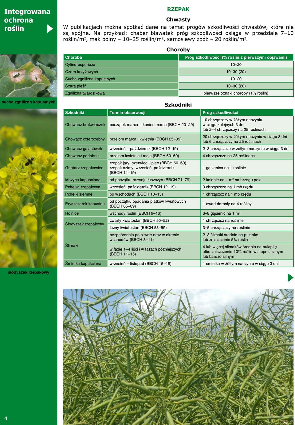 Choroby Choroba Próg szkodliwości (% roślin z pierwszymi objawami) Cylindrosporioza 10 20 Czerń krzyżowych 10 30 (20) Sucha zgnilizna kapustnych 10 20 Szara pleśń 10 30 (20) Zgnilizna twardzikowa