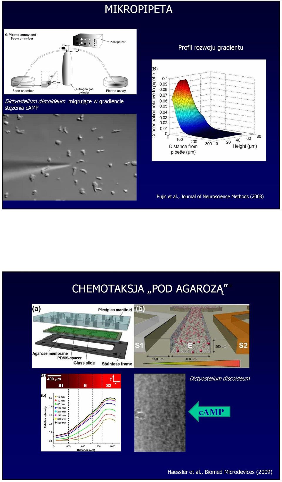 , Journal of Neuroscience Methods (2008) CHEMOTAKSJA POD