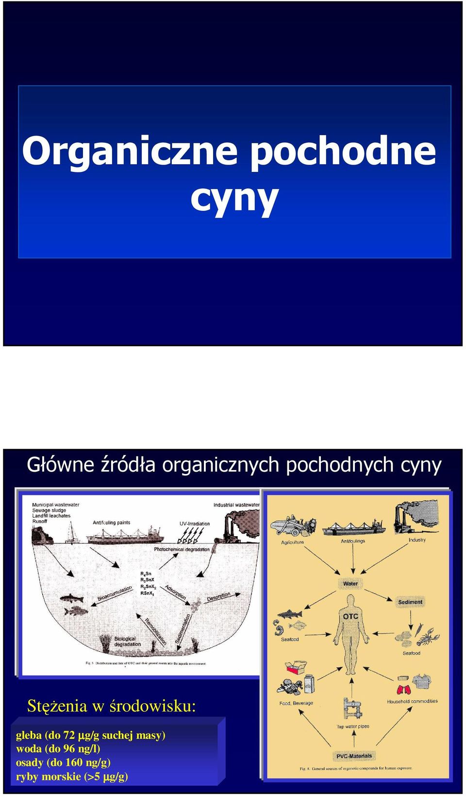 środowisku: gleba (do 72 µg/g suchej masy)