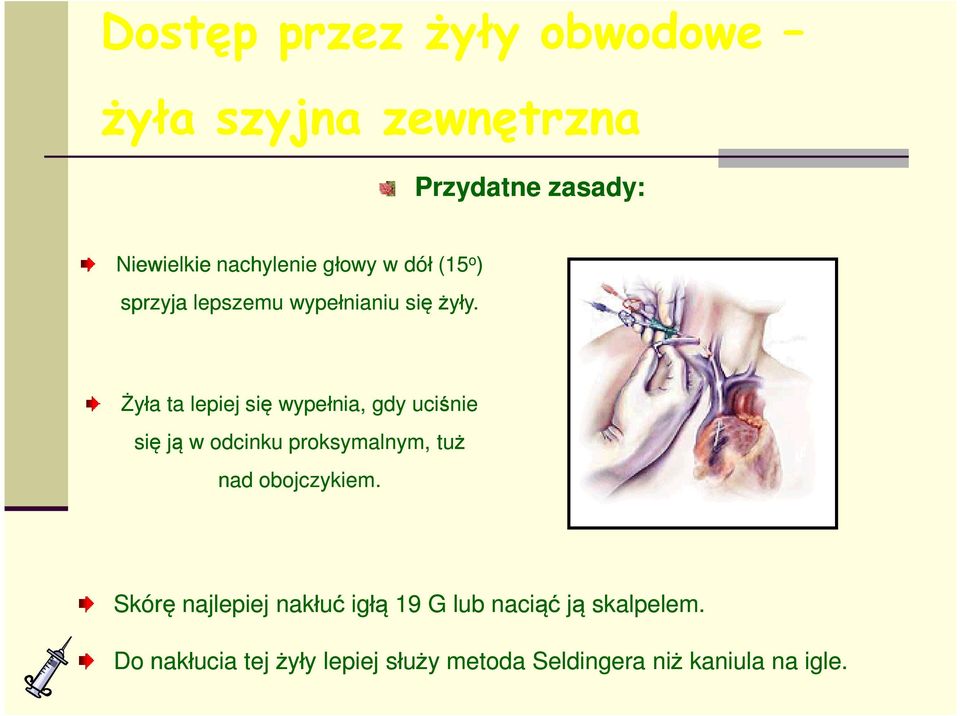 Żyła ta lepiej się wypełnia, gdy uciśnie się ją w odcinku proksymalnym, tuż nad obojczykiem.