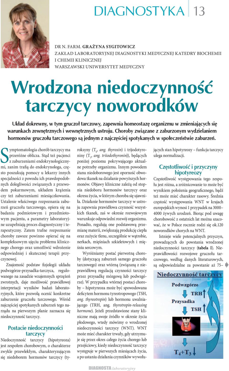 gruczoł tarczowy, zapewnia homeostazę organizmu w zmieniających się warunkach zewnętrznych i wewnętrznych ustroju.