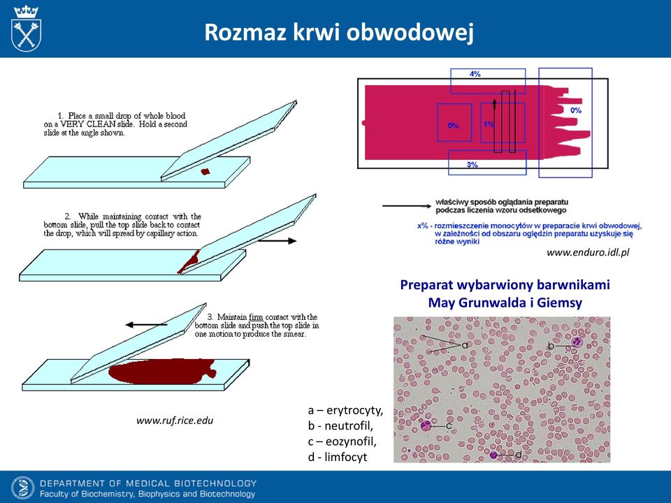 Grunwalda i Giemsy www.ruf.rice.