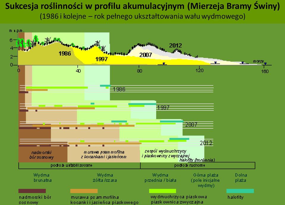 Świny) (1986 i kolejne rok