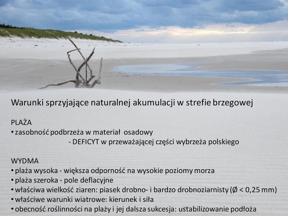 plaża szeroka - pole deflacyjne właściwa wielkość ziaren: piasek drobno- i bardzo drobnoziarnisty (Ø < 0,25 mm)