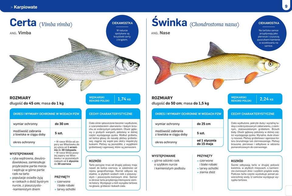 osiadłe żyją w rzekach o dość bystrym nurcie, z piaszczysto- -kamienistym dnem do 30 cm 5 szt.