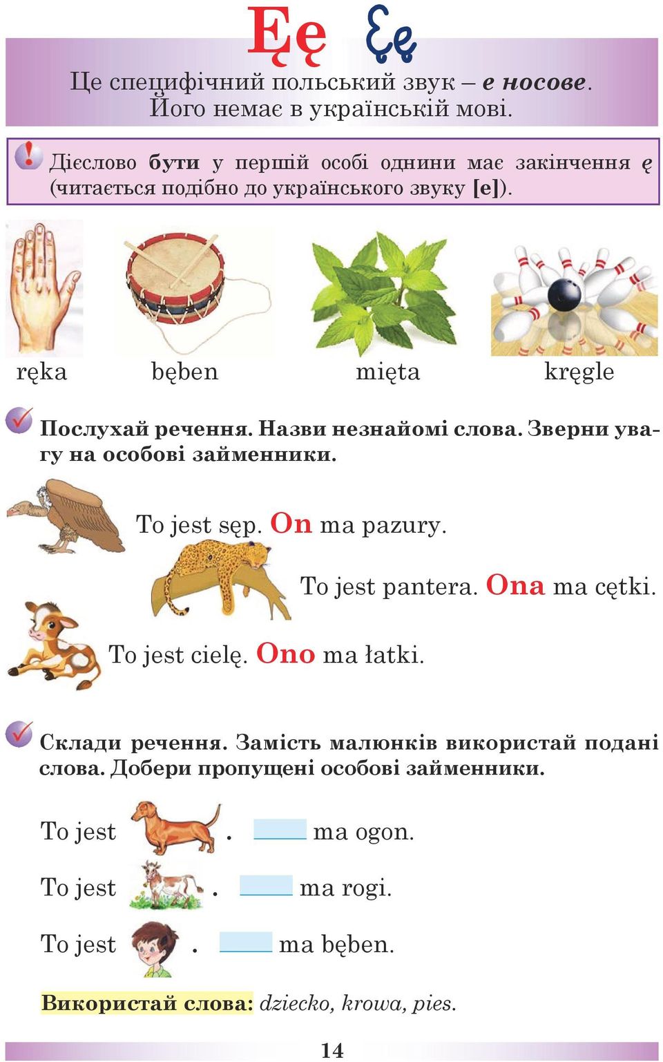 ręka bęben mięta kręgle Послухай речення. Назви незнайомі слова. Зверни увагу на особові займенники. To jest sęp. On ma pazury.