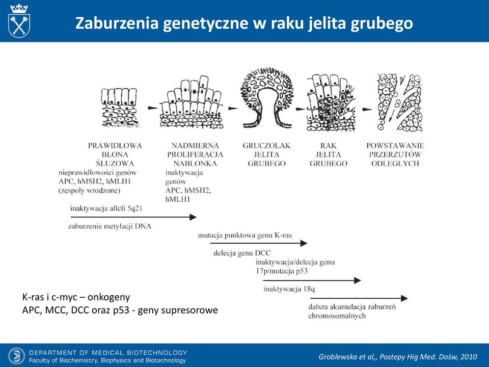 MCC, DCC oraz p53 - geny supresorowe