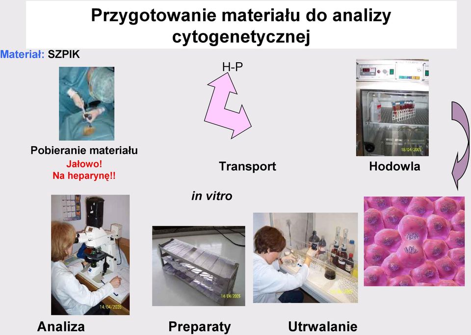 materiału Jałowo! Na heparynę!