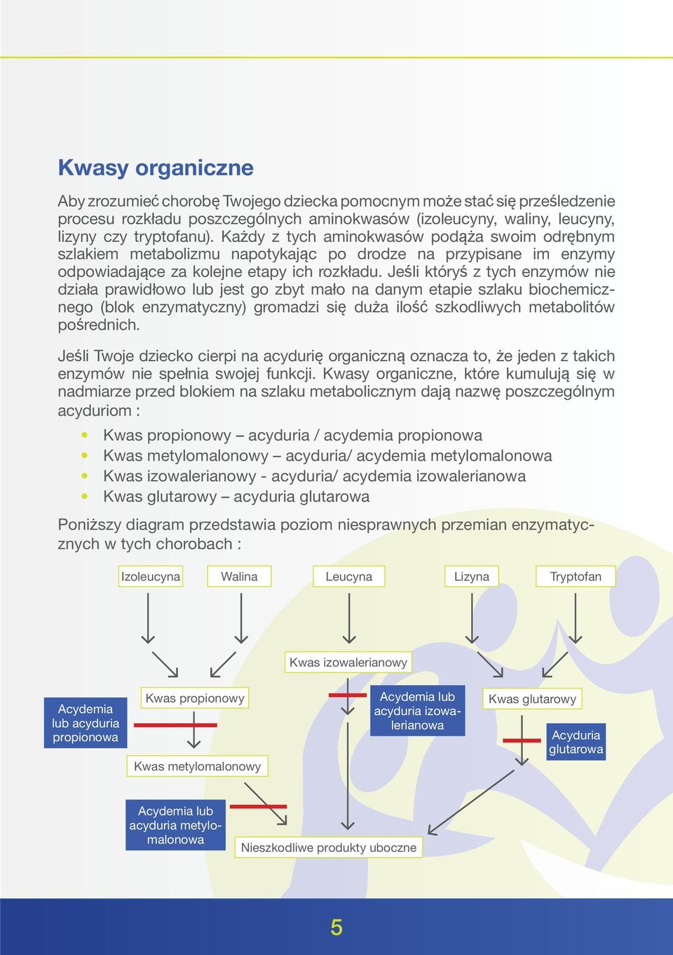 Jeśli któryś z tych enzymów nie działa prawidłowo lub jest go zbyt mało na danym etapie szlaku biochemicznego (blok enzymatyczny) gromadzi się duża ilość szkodliwych metabolitów pośrednich.