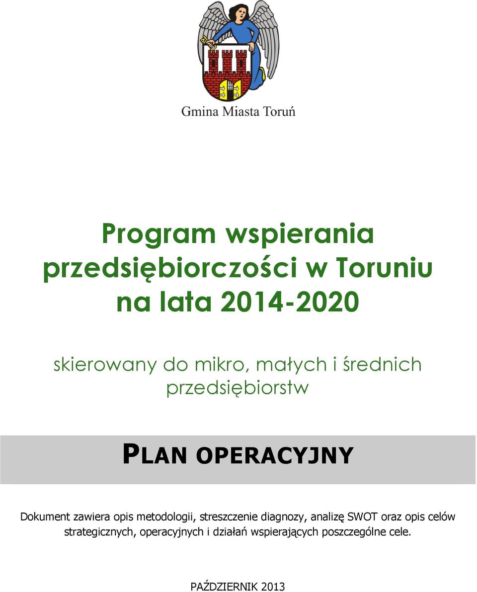 opis metodologii, streszczenie diagnozy, analizę SWOT oraz opis celów