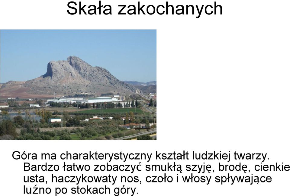 Bardzo łatwo zobaczyć smukłą szyję, brodę,