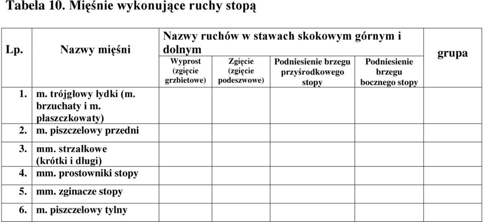 m. piszczelowy tylny Nazwy ruchów w stawach skokowym górnym i dolnym Wyprost (zgięcie grzbietowe) Zgięcie