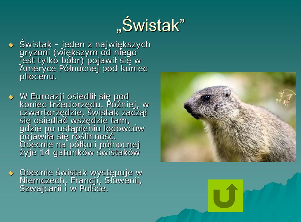 Później, w czwartorzędzie, świstak zaczął się osiedlać wszędzie tam, gdzie po ustąpieniu lodowców pojawiła się