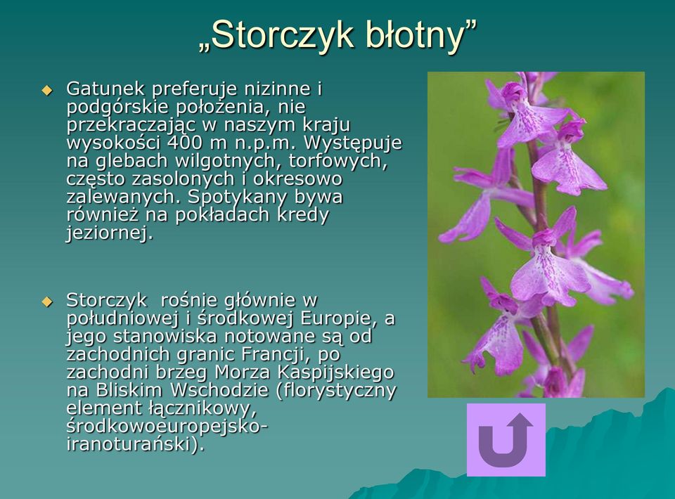 Spotykany bywa również na pokładach kredy jeziornej.