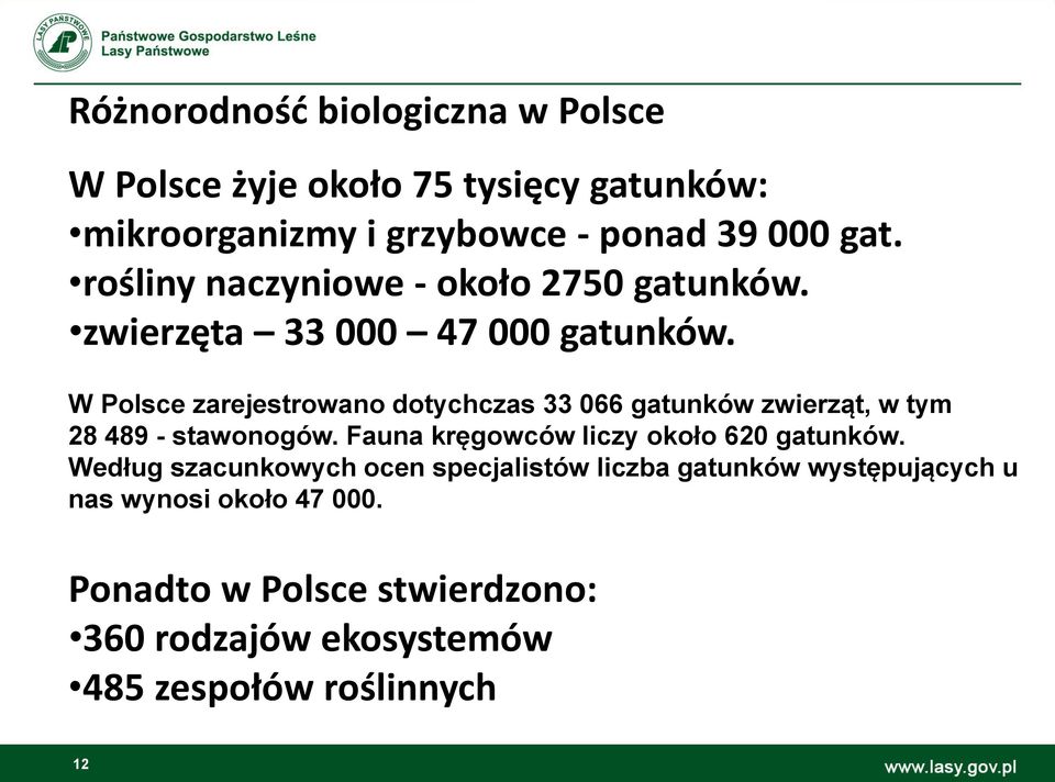 W Polsce zarejestrowano dotychczas 33 066 gatunków zwierząt, w tym 28 489 - stawonogów.