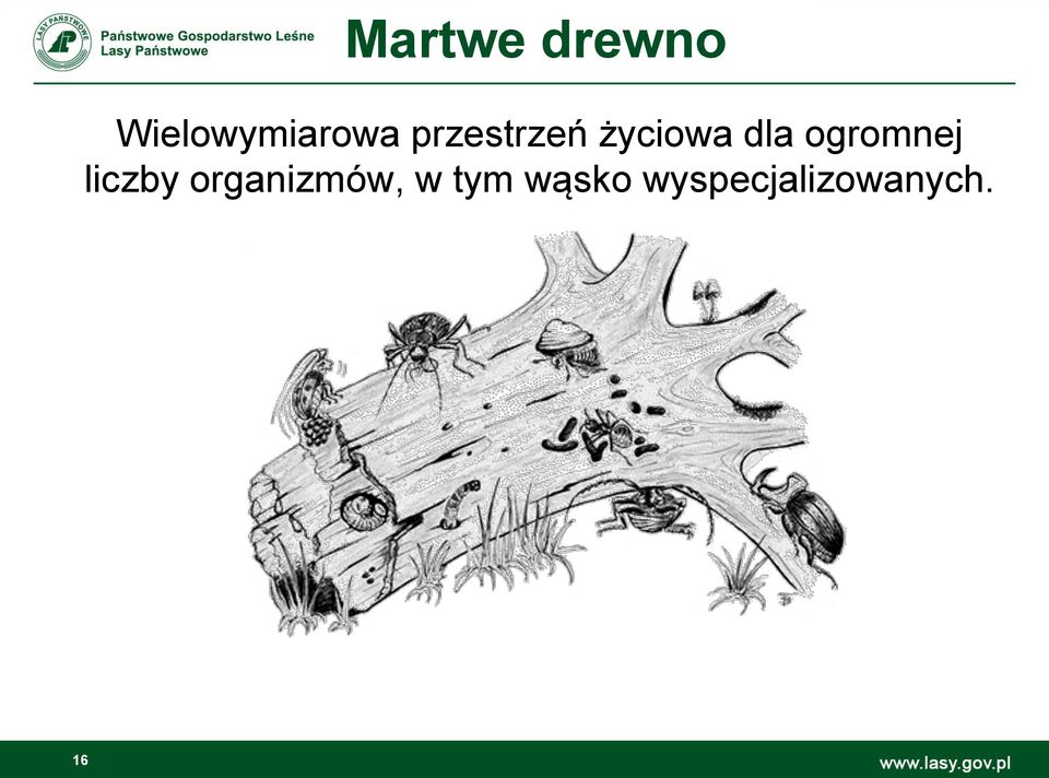 ogromnej liczby organizmów,