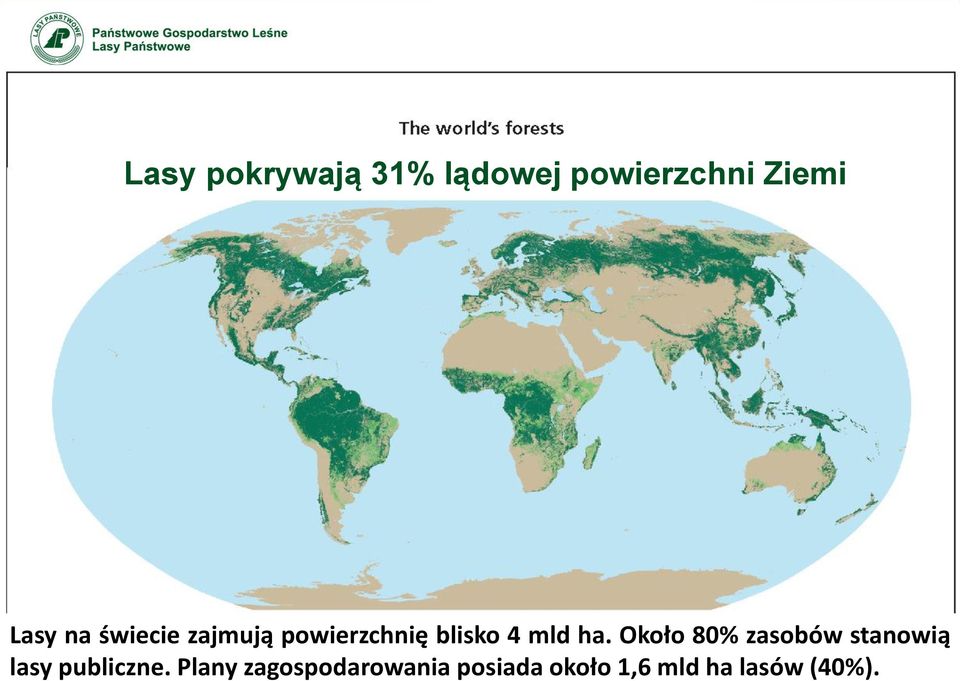 Około 80% zasobów stanowią lasy publiczne.