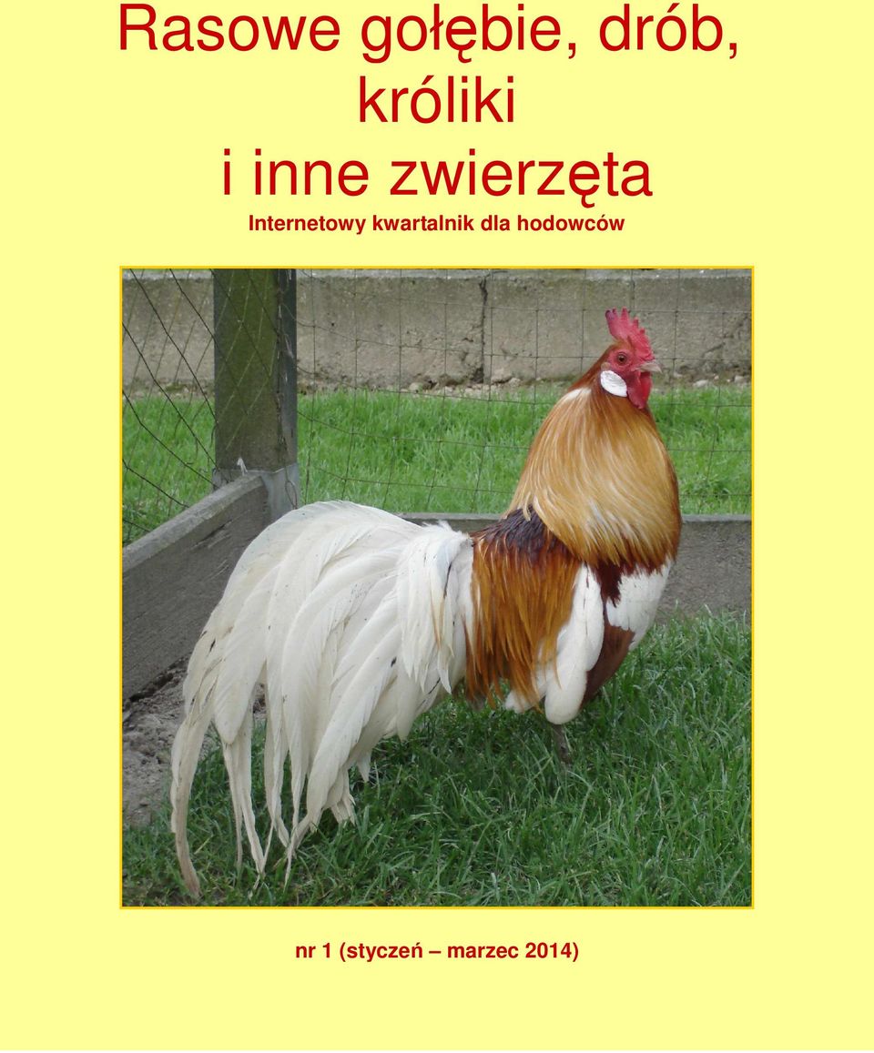 Internetowy kwartalnik dla