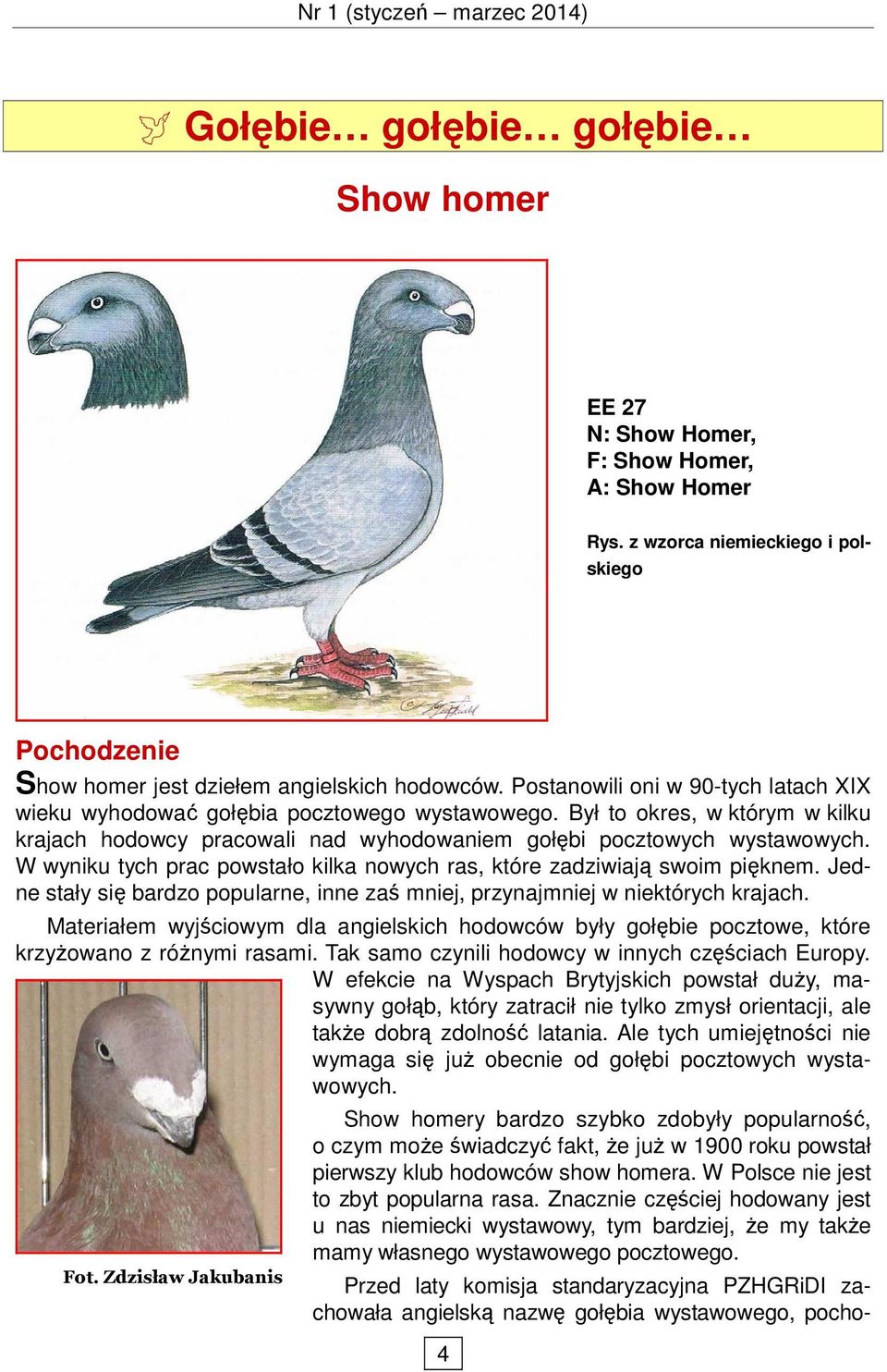 W wyniku tych prac powstało kilka nowych ras, które zadziwiają swoim pięknem. Jedne stały się bardzo popularne, inne zaś mniej, przynajmniej w niektórych krajach.