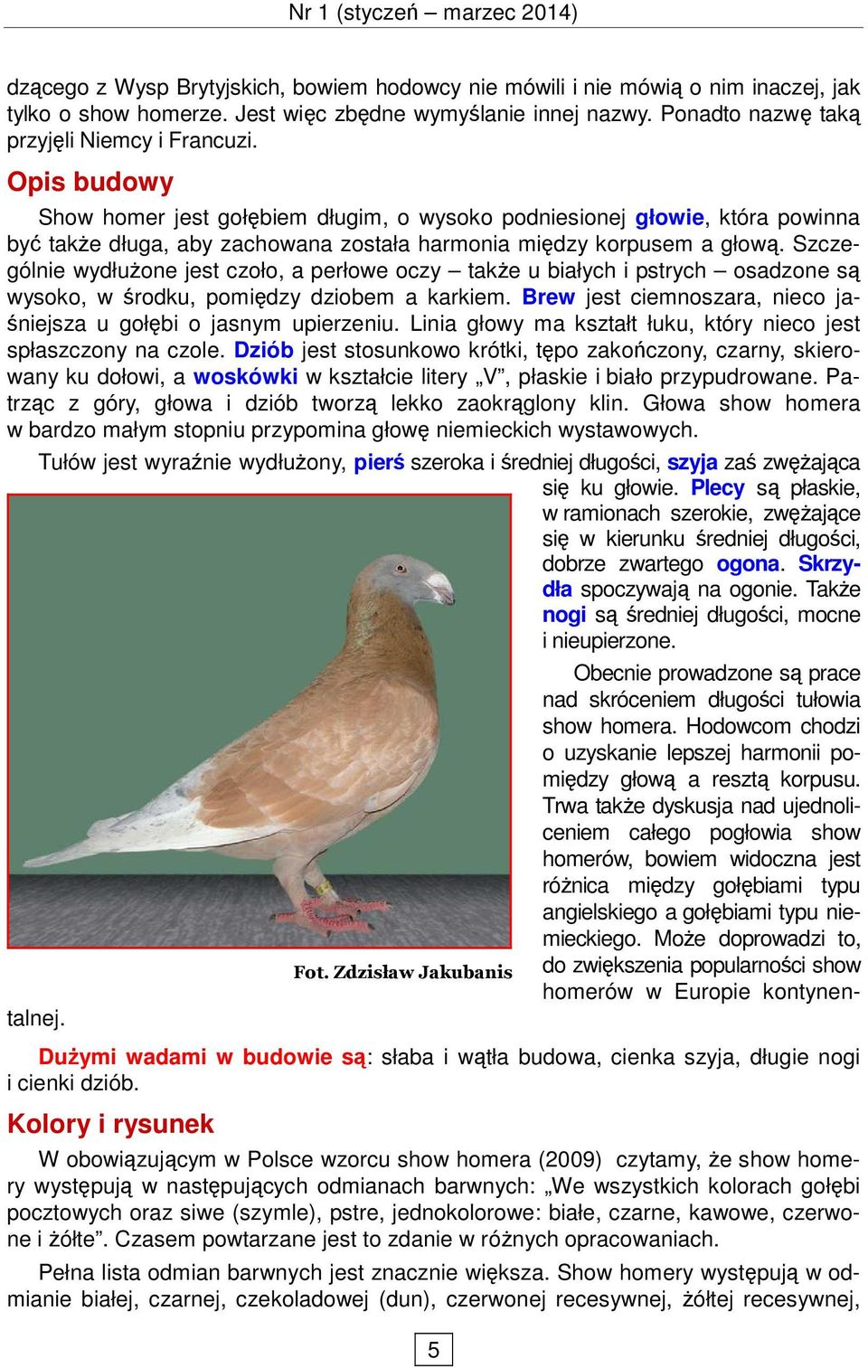 Szczególnie wydłuŝone jest czoło, a perłowe oczy takŝe u białych i pstrych osadzone są wysoko, w środku, pomiędzy dziobem a karkiem.