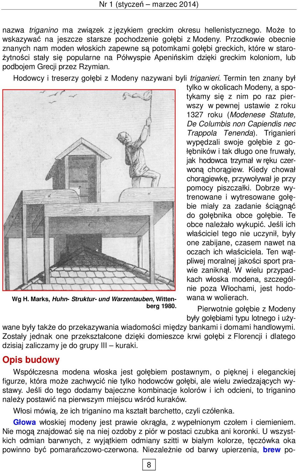 przez Rzymian. Hodowcy i treserzy gołębi z Modeny nazywani byli triganieri.