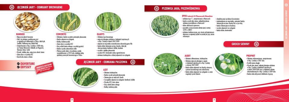 Czeskiej w 2008 roku, we Francji, Niemczech, Holandii, na Węgrzech, Słowacji, Litwie, Serbii Wysoki, stabilny plon, najwyższa celność ziarna Ziarno duże o wysokiej MTZ Duża liczba ziaren w kłosie