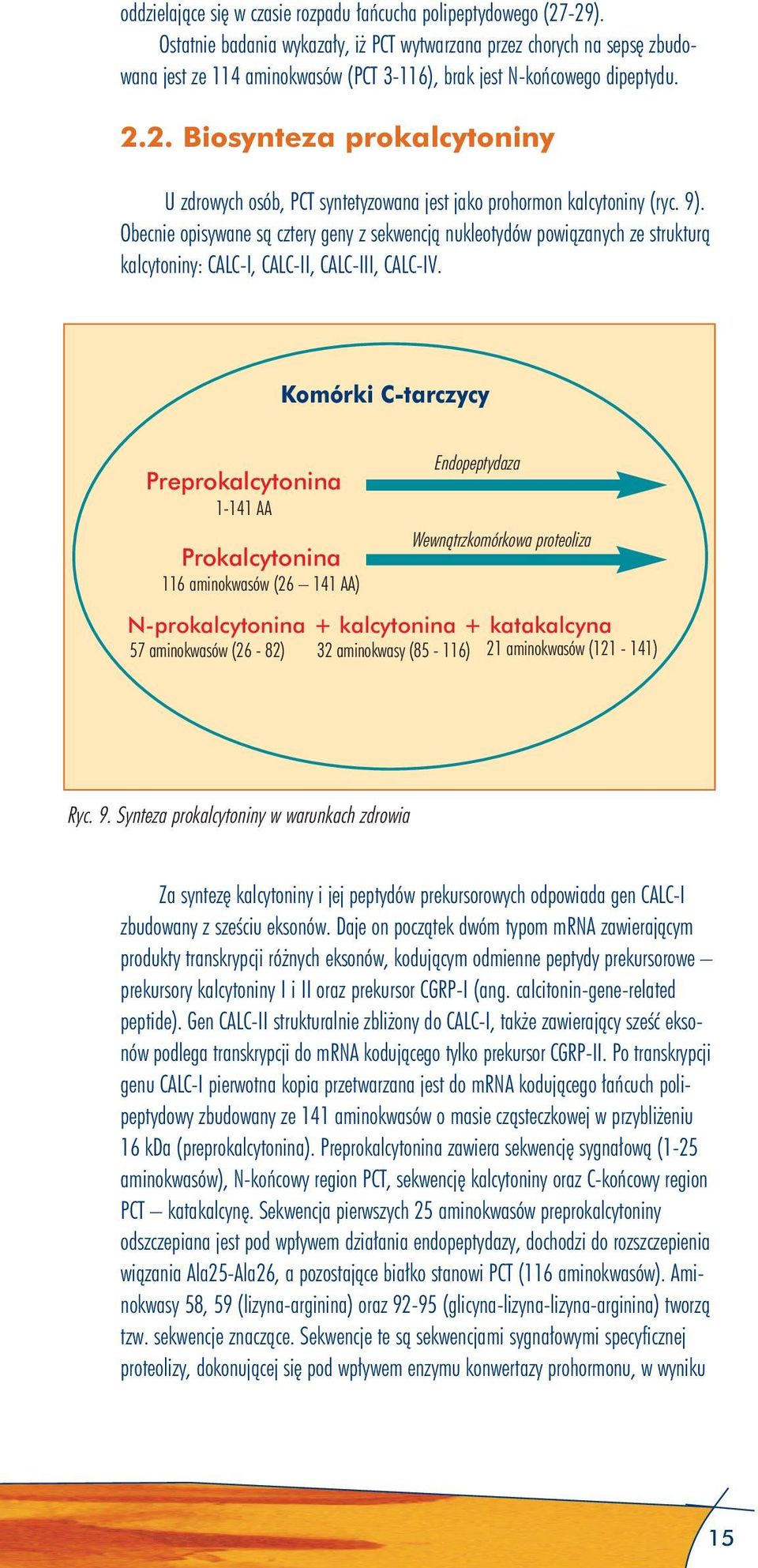 2. Biosynteza prokalcytoniny U zdrowych osób, PCT syntetyzowana jest jako prohormon kalcytoniny (ryc. 9).