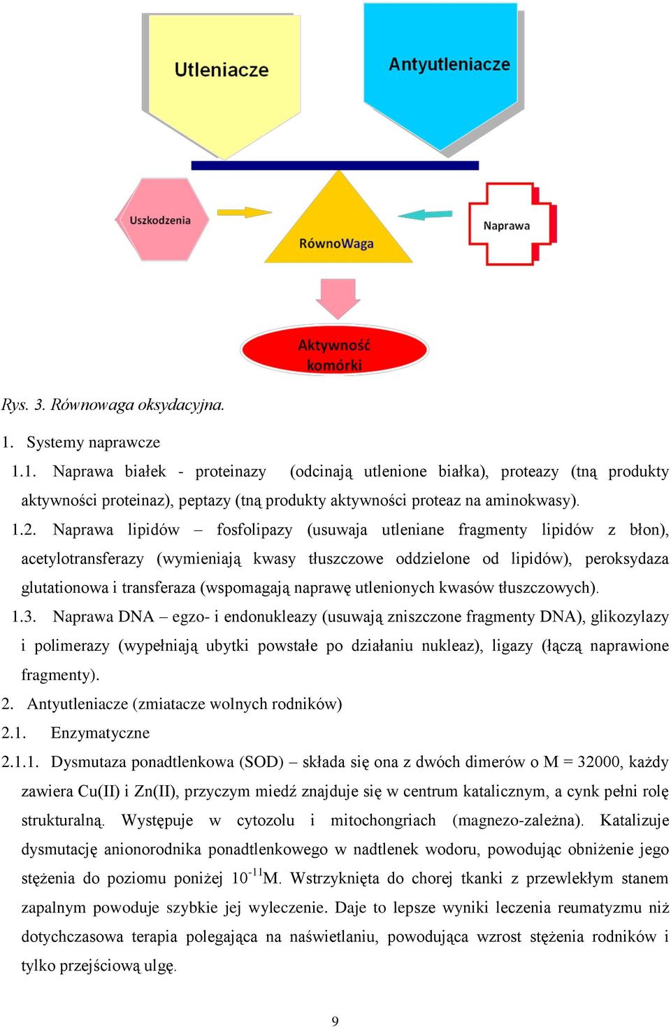 (wspomagają naprawę utlenionych kwasów tłuszczowych). 1.3.