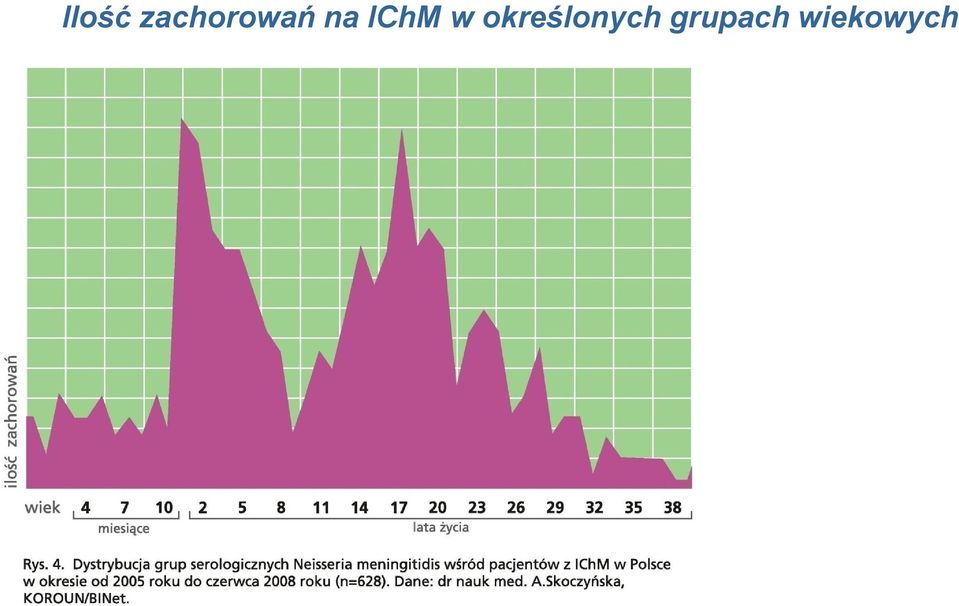 IChM w