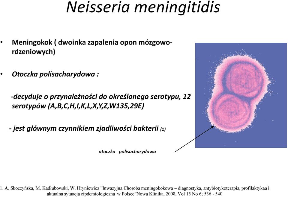 bakterii (1) otoczka polisacharydowa 1. A. Skoczyńska, M. Kadłubowski, W.