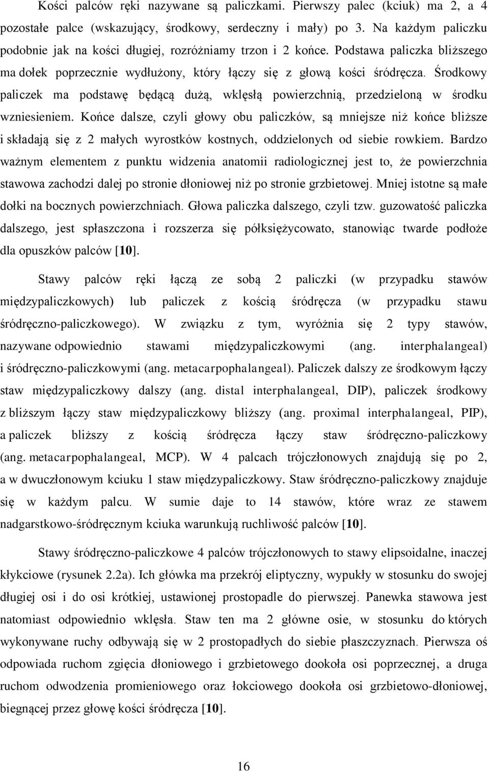 Środkowy paliczek ma podstawę będącą dużą, wklęsłą powierzchnią, przedzieloną w środku wzniesieniem.