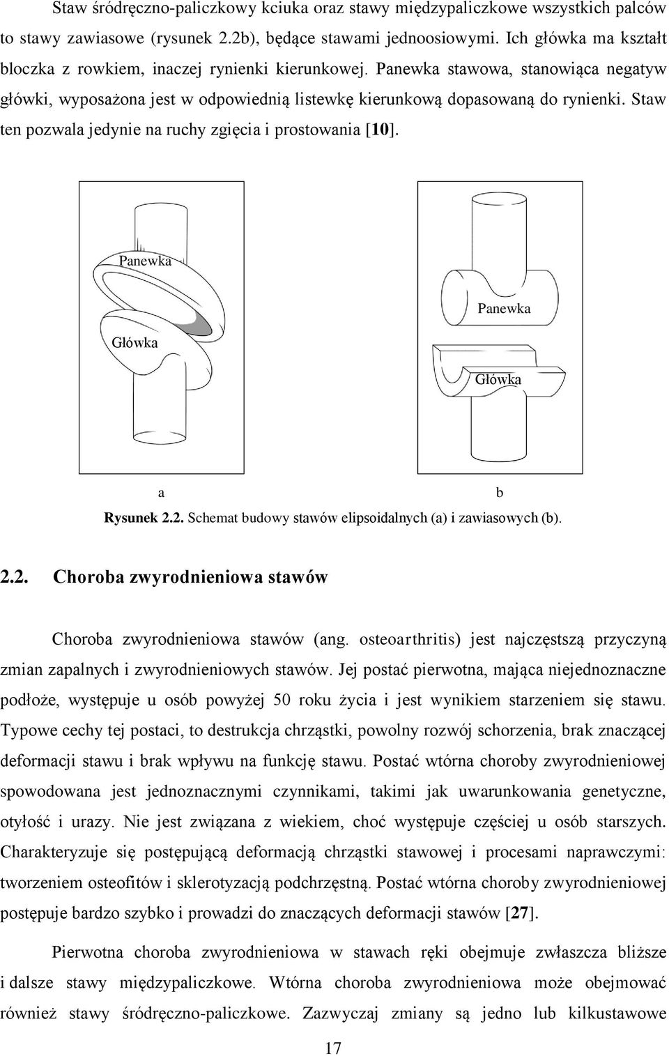 Staw ten pozwala jedynie na ruchy zgięcia i prostowania [10]. Panewka Główka Panewka Główka a Rysunek 2.2. Schemat budowy stawów elipsoidalnych (a) i zawiasowych (b). b 2.2. Choroba zwyrodnieniowa stawów Choroba zwyrodnieniowa stawów (ang.