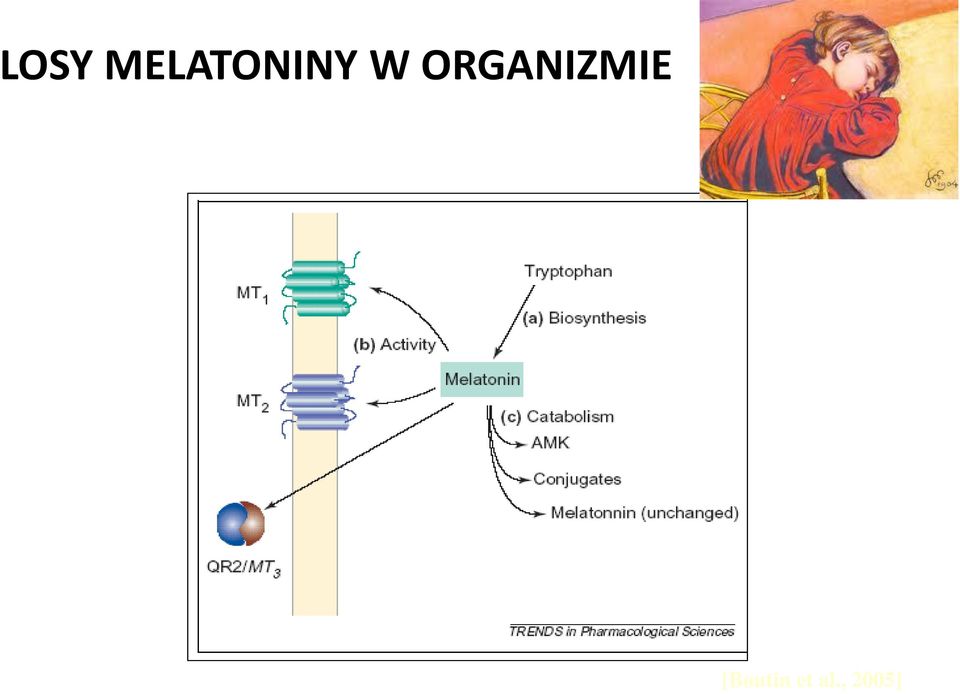 ORGANIZMIE